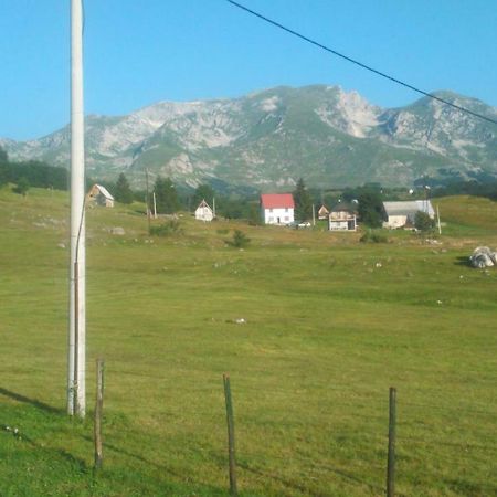 Hotel Karadzic Žabljak Esterno foto